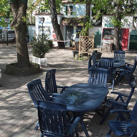 Pension Casa Topolino Wiener Neustadt Exteriör bild